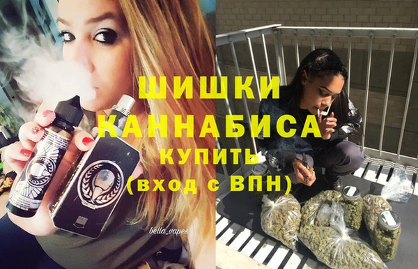 винт Богданович